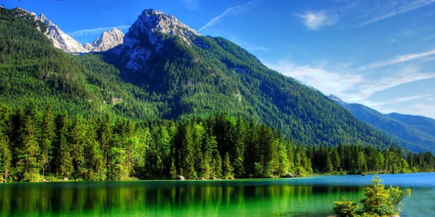 Photography Tips for a tranquil lake surrounded by lush green trees and towering mountains under a bright blue sky, reflecting the peaceful scenery.