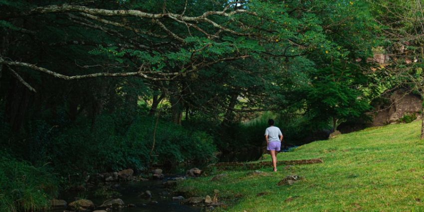 A peaceful nature walk by a small creek surrounded by lush greenery.