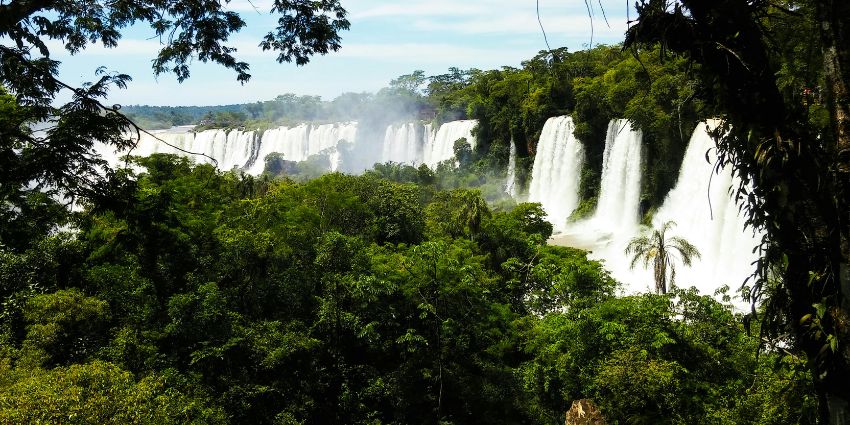 Stunning view of Iguazu Falls in Argentina, surrounded by lush green rainforest scenery.